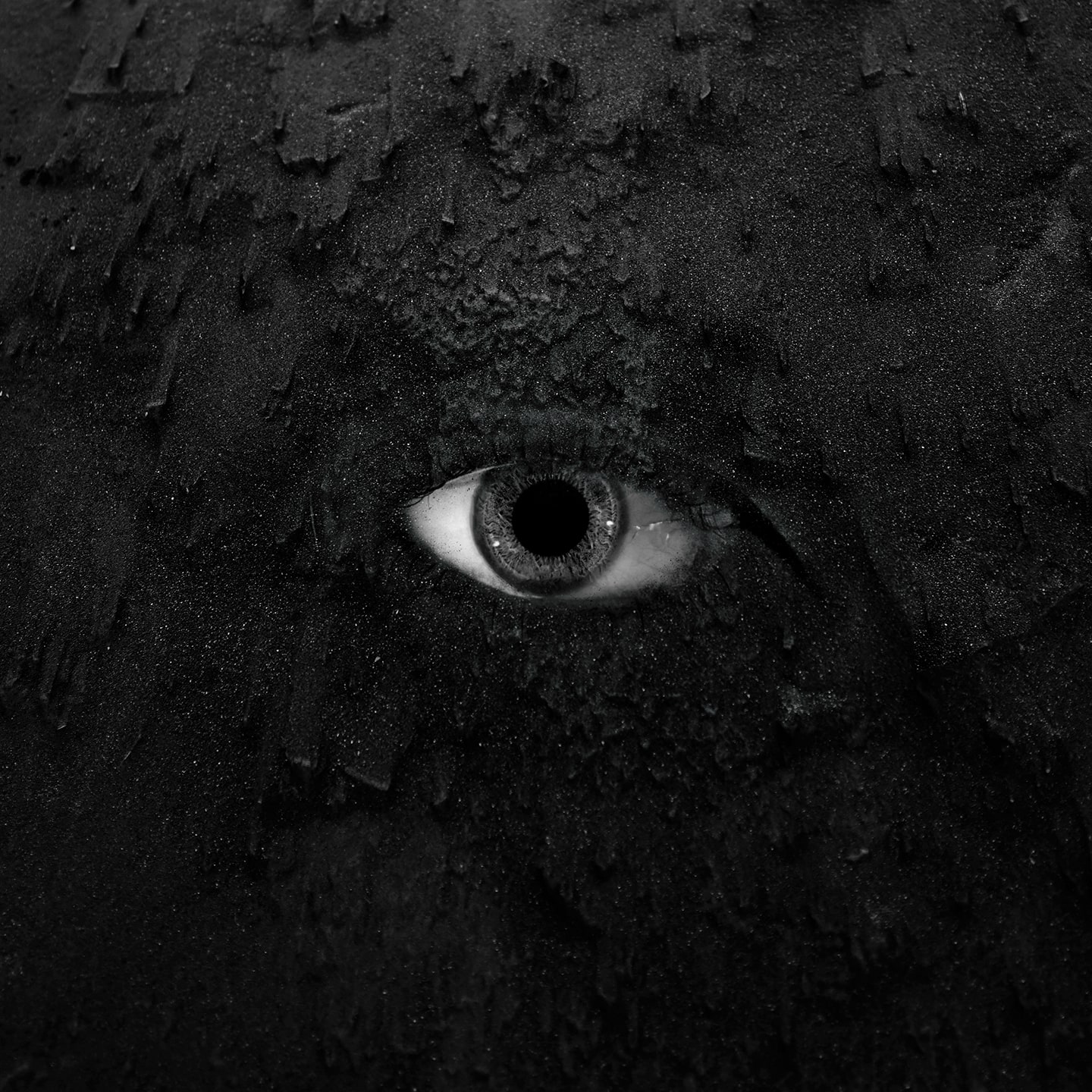 Broken by Tatum (2019)